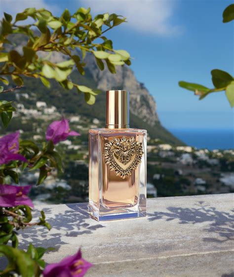 dolce gabbana parfum 2019|dolce and gabbana perfume website.